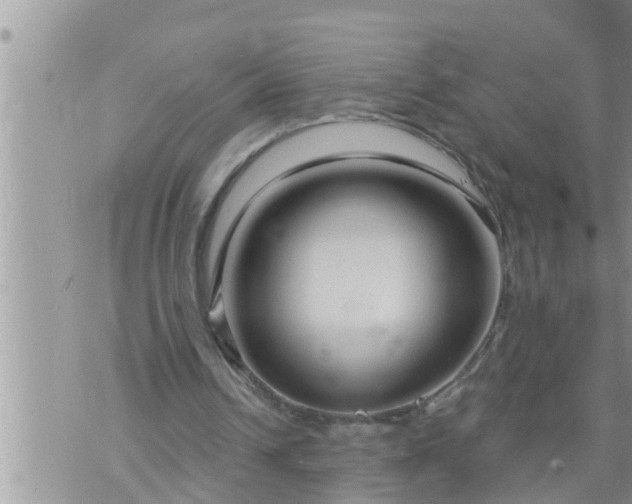 X0000073730242200608101937