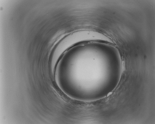 X0000073730243200608101937