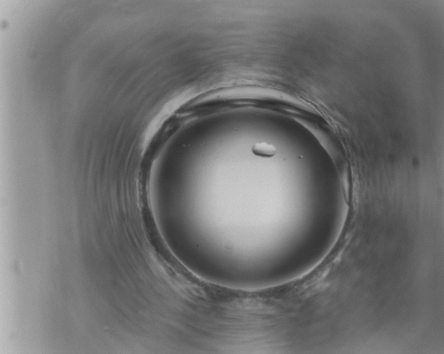 X0000073730244200608101937