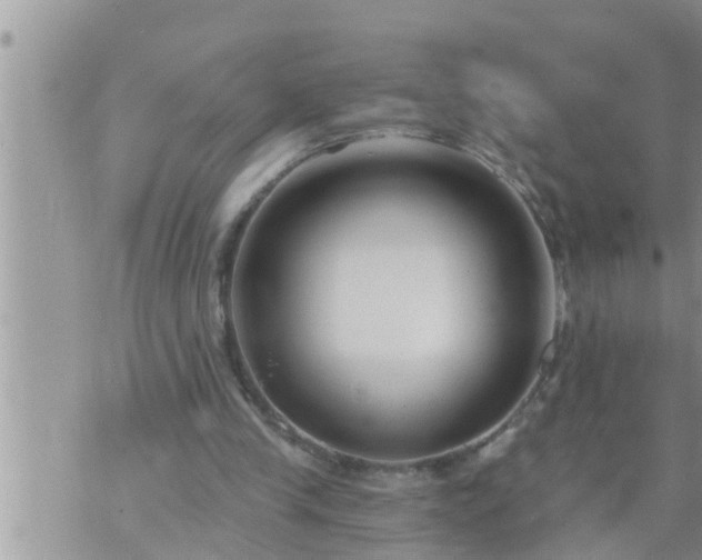 X0000073730245200608101937