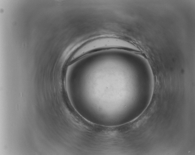 X0000073730247200608101937