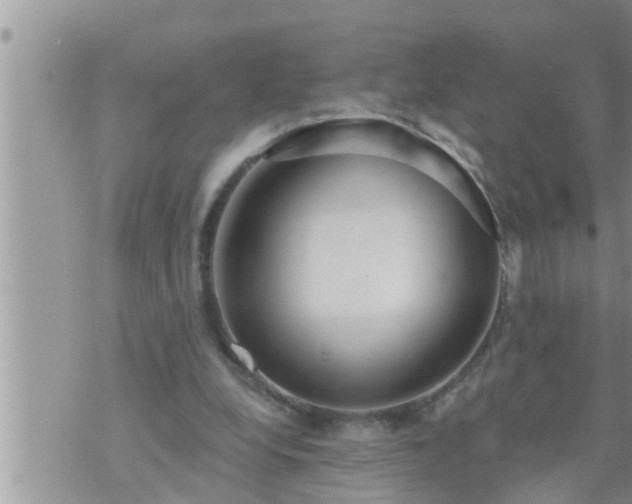 X0000073730248200608101937