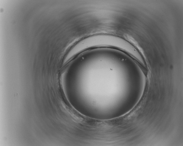 X0000073730249200608101937