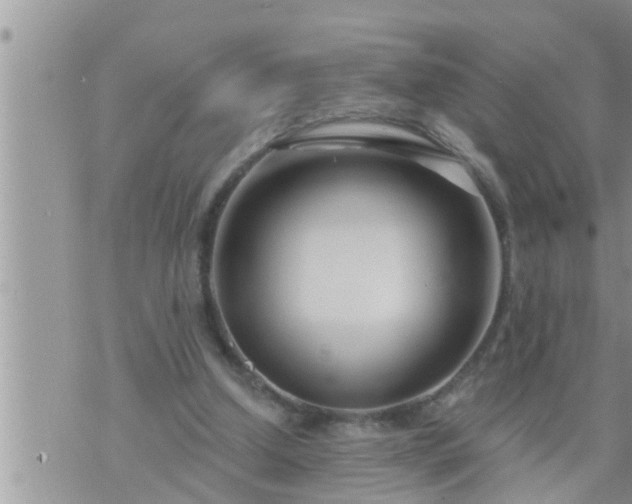 X0000073730250200608101937