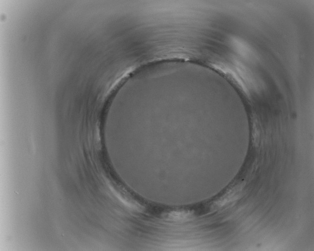 X0000073730251200608101937