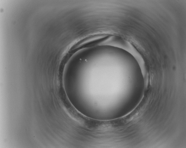 X0000073730252200608101937