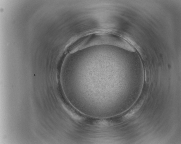 X0000073730253200608101937