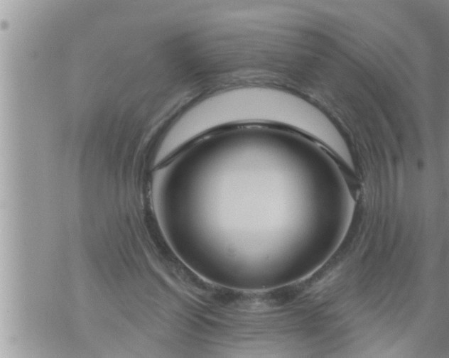 X0000073730254200608101937