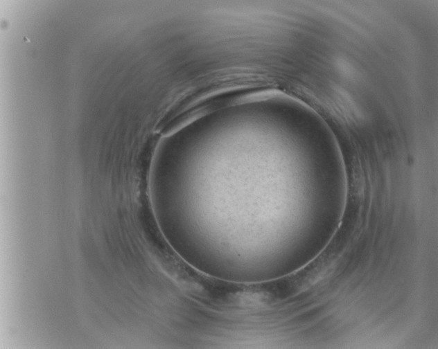 X0000073730255200608101937