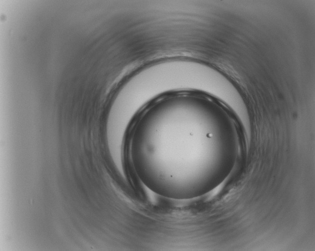 X0000073730256200608101937