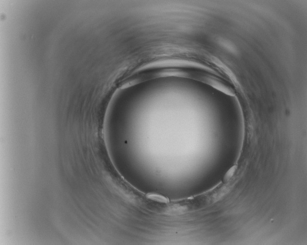 X0000073730257200608101937