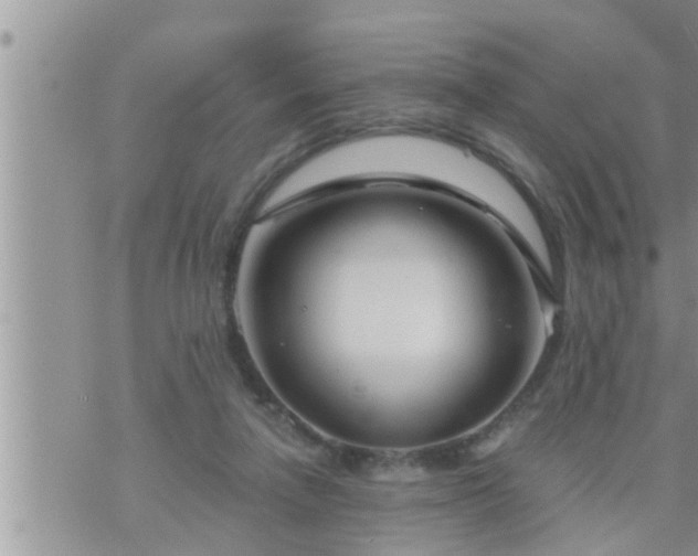 X0000073730258200608101937