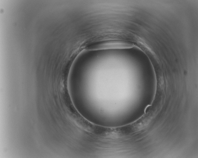 X0000073730259200608101937