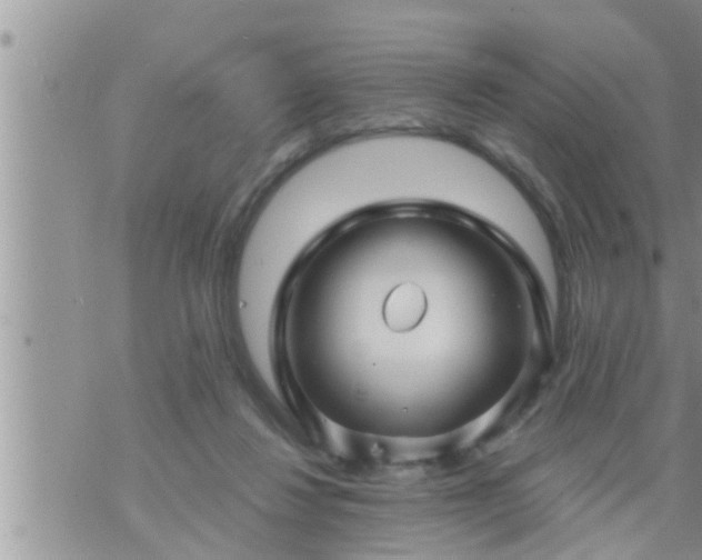 X0000073730260200608101937