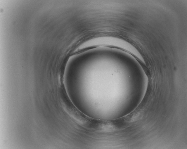 X0000073730262200608101937