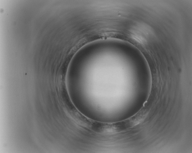 X0000073730263200608101937