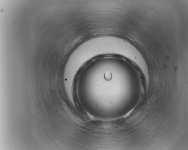 X0000073730264200608101937