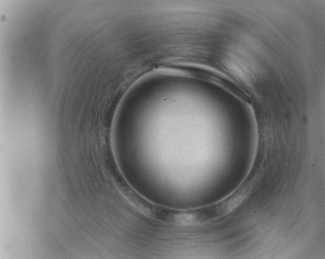 X0000073730265200608101937