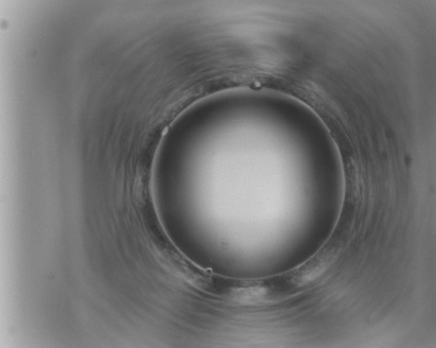 X0000073730266200608101937