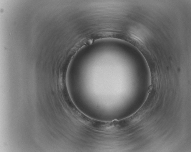 X0000073730267200608101937