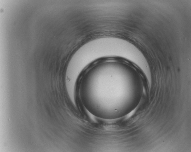 X0000073730268200608101937