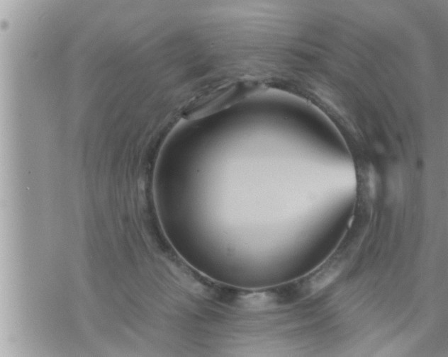 X0000073730269200608101937