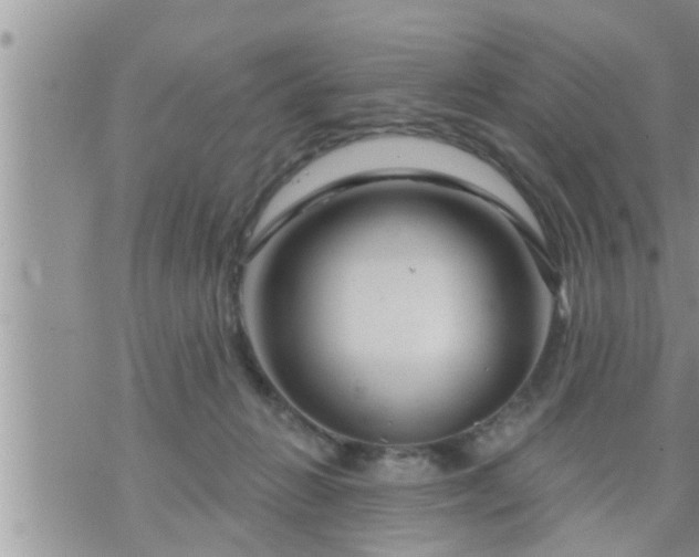 X0000073730270200608101937