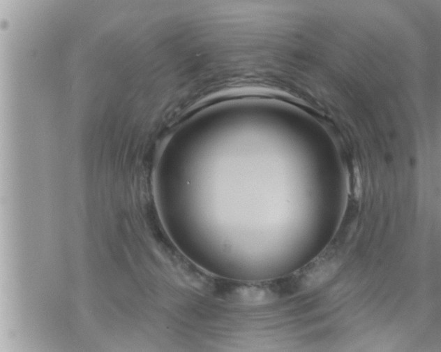 X0000073730272200608101937