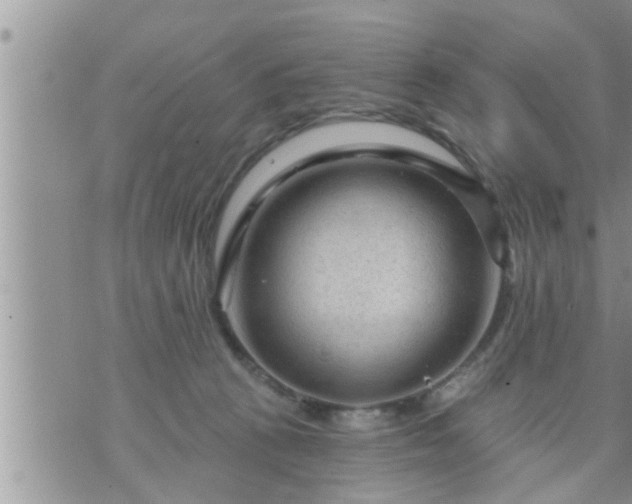 X0000073730273200608101937