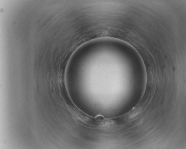 X0000073730274200608101937