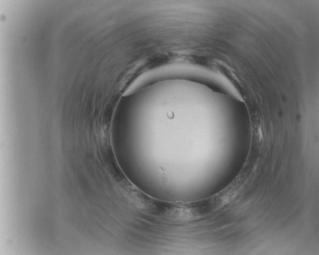 X0000073730276200608101937