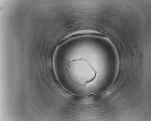 X0000073730278200608101937