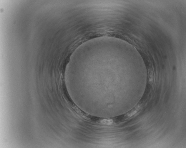 X0000073730279200608101937