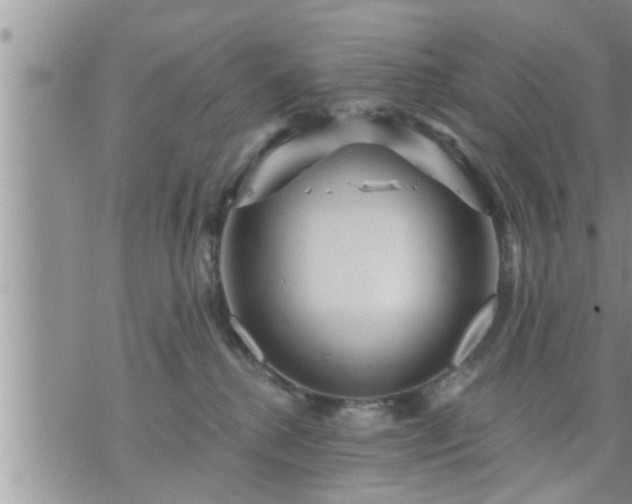 X0000073730280200608101937