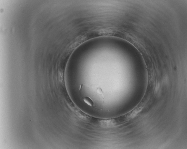 X0000073730281200608101937