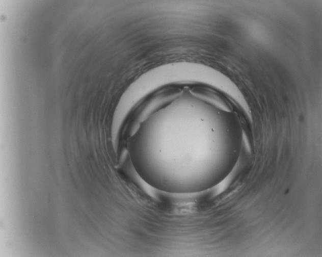 X0000073730283200608101937