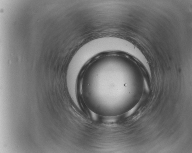 X0000073730284200608101937