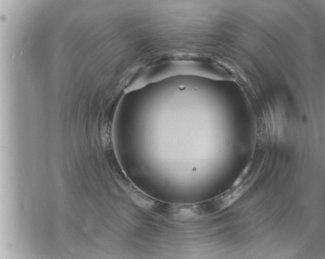 X0000073730285200608101937