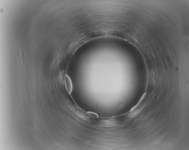 X0000073730286200608101937