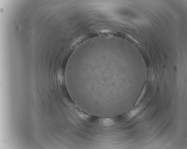 X0000073730287200608101937