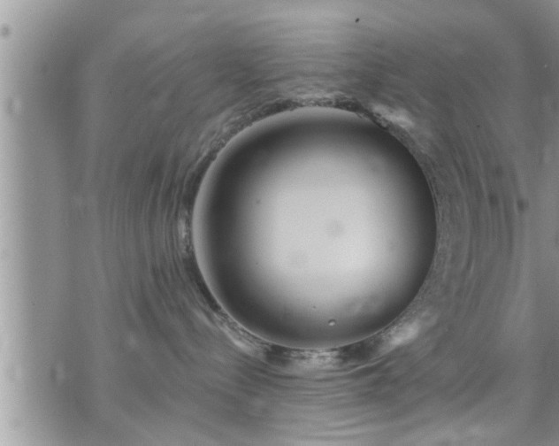 X0000073730288200608101937