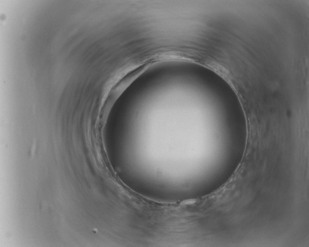 X0000073730289200608101937