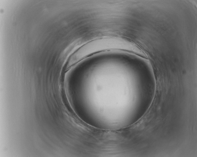 X0000073730290200608101937