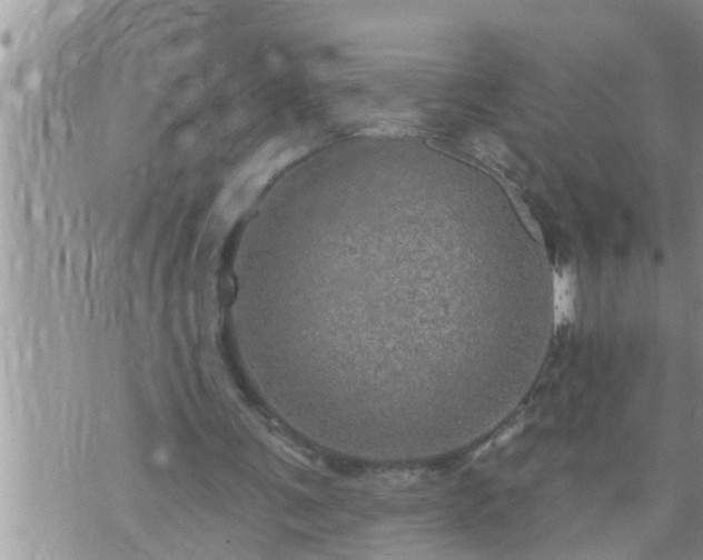 X0000073730291200608101937