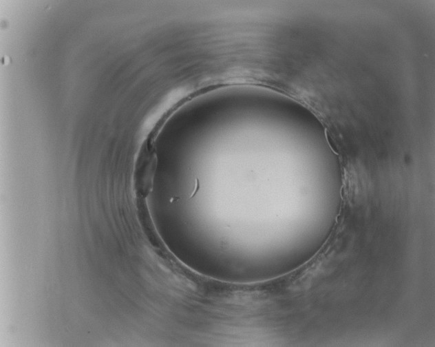 X0000073730292200608101937