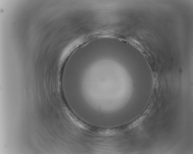 X0000073730293200608101937