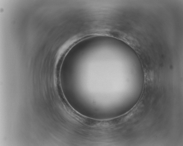 X0000073730294200608101937