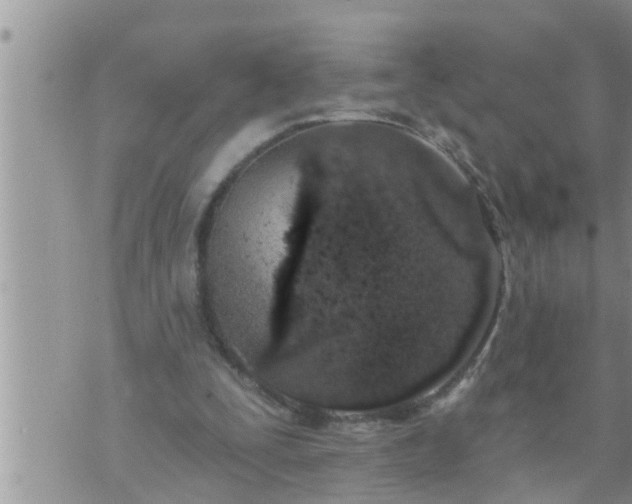 X0000073730295200608101936