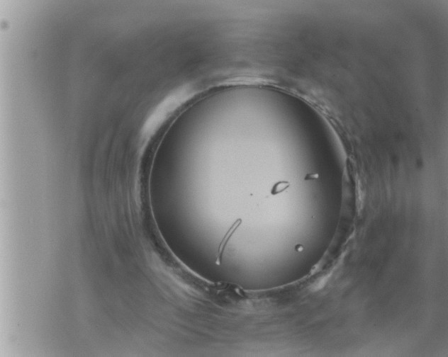 X0000073730296200608101936