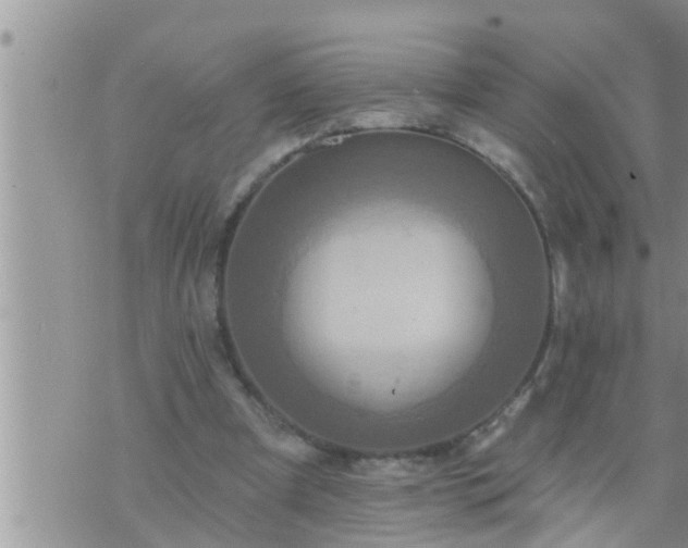 X0000073730297200608101936